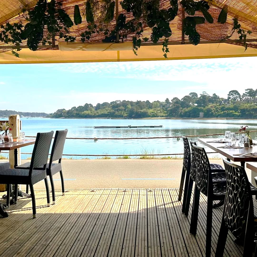 Terrasse ombragée avec feuillages et vue sur l'eau